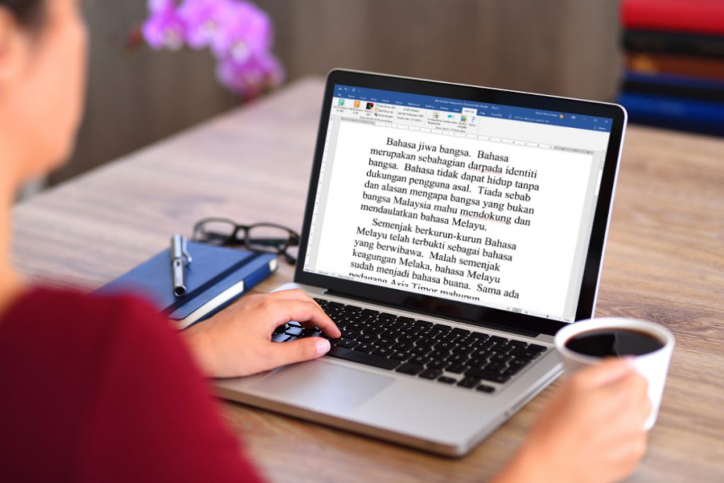 Dewan Eja Pro is the first Malay grammar checker